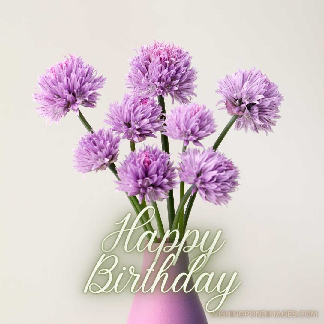 Beautiful image of Chives purple flower in a pink flower pot. Happy Birthday Purple Flower Images